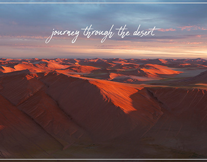 journey through the desert