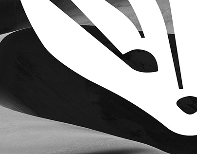 Fennec Sport | Logo & brand identity design