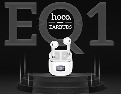 Hoco India's Earbud EQ 01!