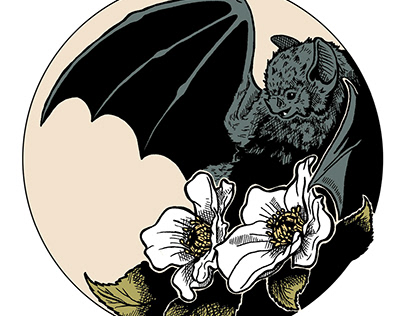 Sticker-Set Bats & Moths