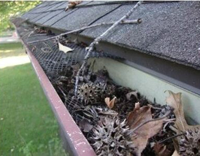 Seamless Gutters Chatham County ga