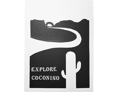 Coconino Poster