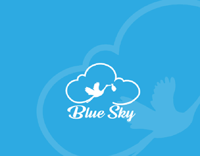 Presentation for Blue Sky company