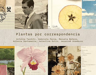Project thumbnail - Plantas por correspondencia