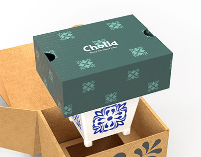 Cholla E Commerce Packaging