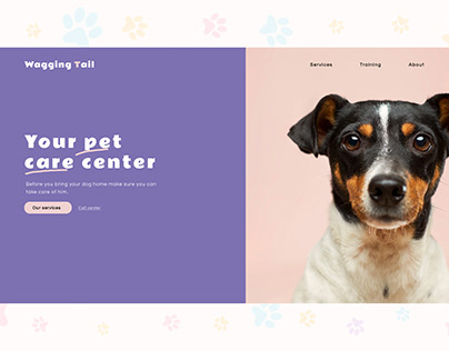 Pet Care - Web Design