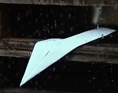Falter - a Mockumentary about Paper Birds