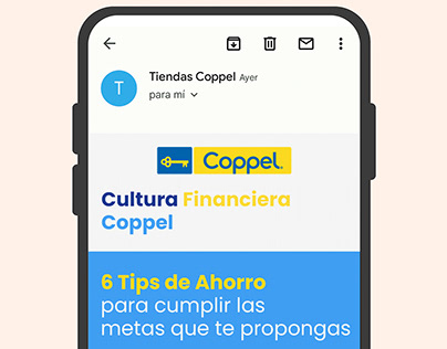 Newsletter Afore Coppel