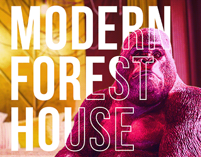 Modern Forest House branding and advertising
