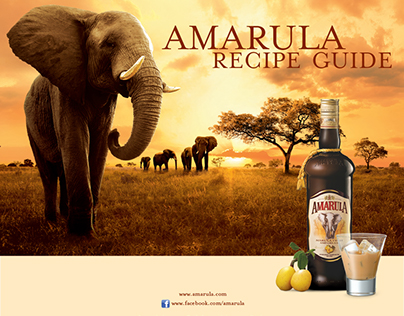 Design of Amarula Recipe Guide