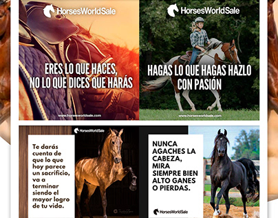 Social Media Horses World Sale imagenes Redes Sociales