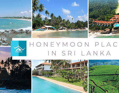 Sri Lanka's Top Honeymoon Destinations