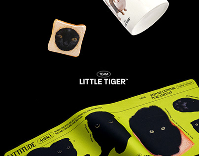 Cat Creators MD Design | Team Little Tiger