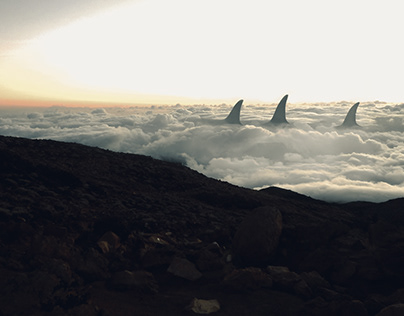 Cloud Sharks