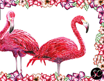Flamingos Print fot Scarf Me