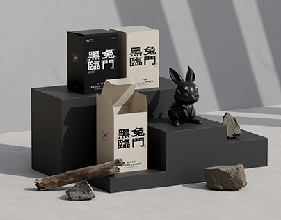 2023 Black rabbit image design | 癸卯年“黑兔”形象设计
