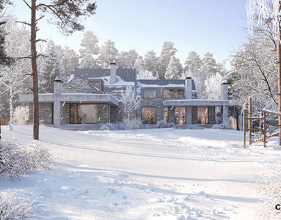 Exterior visualization of the private house in Russia