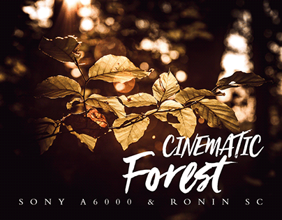 CINEMATIC FOREST