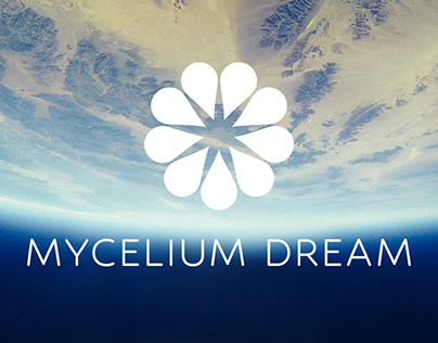 Mycelium Space Hotel Welcome Kit