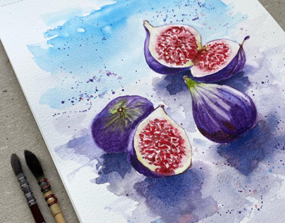 Watercolour Paint, Figs