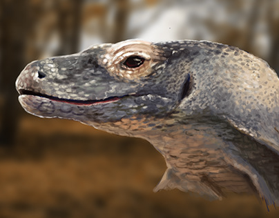 Komodo Dragon Study - Digital Painting