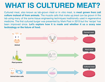 Infographic | What is cultured meat?