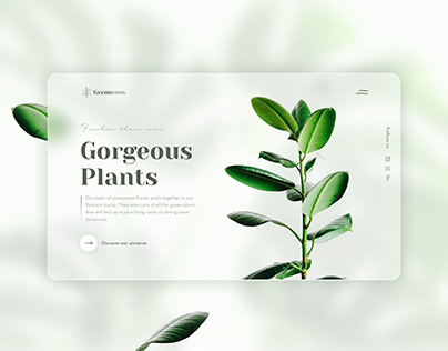 Plant studio - Webdesign