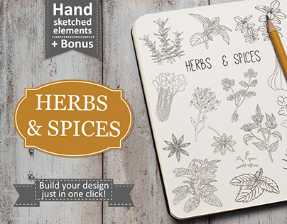 Herbs and spices collection