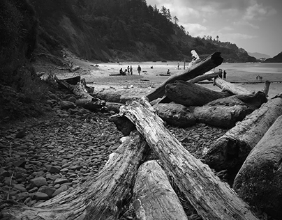 Oregon Coast Photography