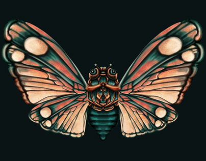 Butterfly Moth Fantasy Dream