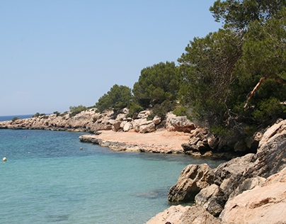 Majorca Landscape