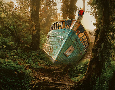 OLD BOAT WITH PARROT IN JUNGLE
