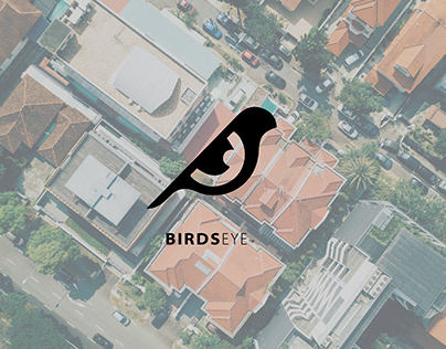 BirdsEye Logo concept