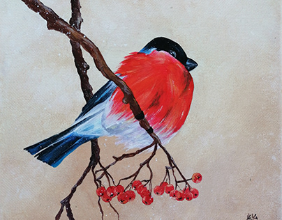Bullfinch Acrylic Painting