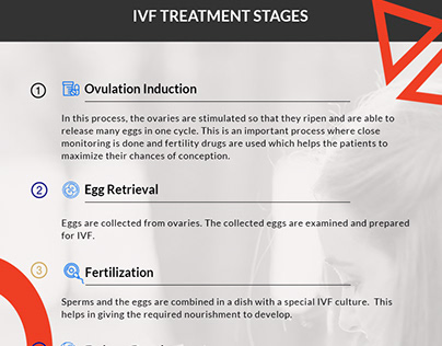 IVF Treatment Stages