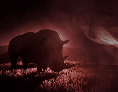 Atmospheric Rhino Title Sequence