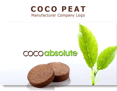 COCOabsolute Logo Concept!