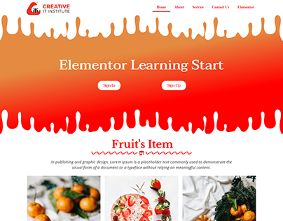 Elementor first time website design