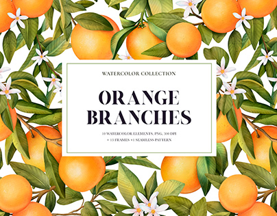 Orange Branches. Watercolor clipart collection.