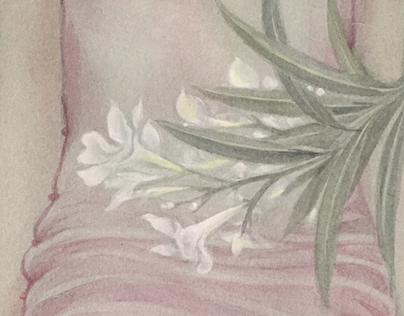 白色夹竹桃 white-oleander