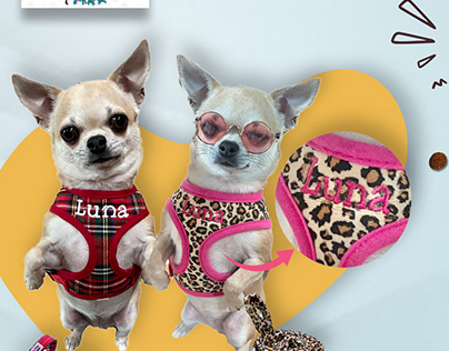 Sassy Dog Fashions: A Custom Dog Harness