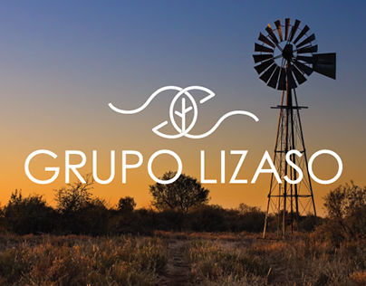 Grupo Lizaso Branding