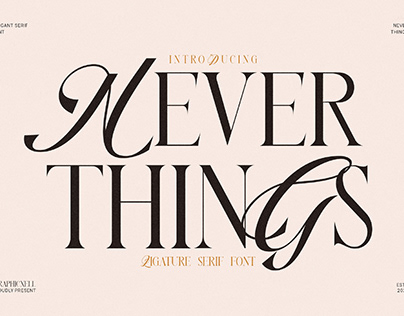 Never Things Elegant & Premium duo Serif font