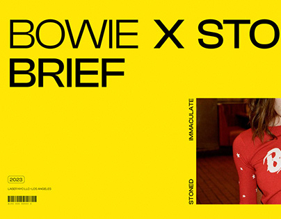 Bowie X Stoned Creative Brief