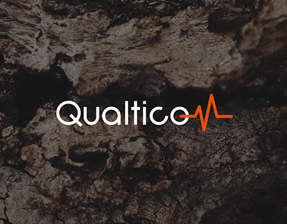 Qualticom Logo & Branding
