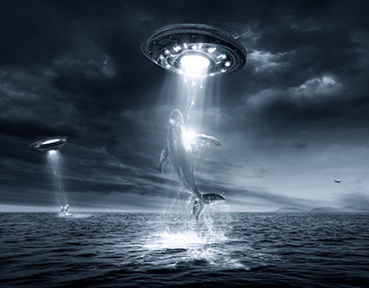 UFO WHALES