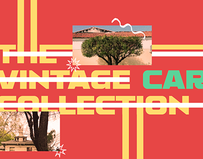 The Vintage Car Collection