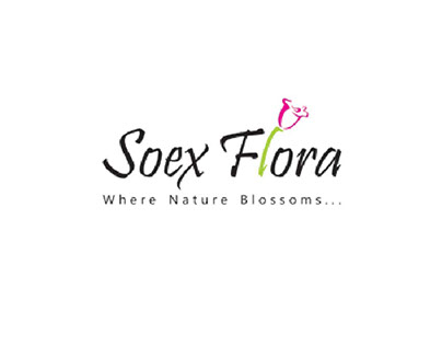 Soex FLora Emailer