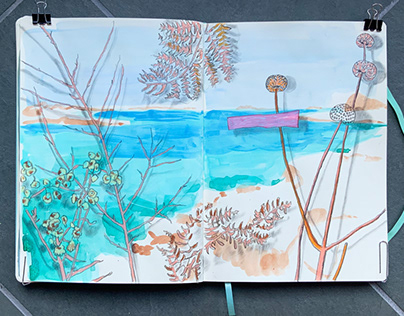 Still life/beach - a daily sketchbook practice