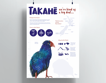 Narrative Information Design: Takahē, 2021